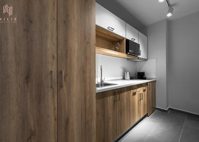 Factory Inn, Nilie Hospitality Mgmt Apartment *