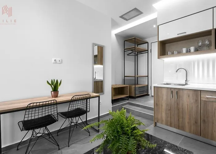 Factory Inn, Nilie Hospitality Mgmt Apartment