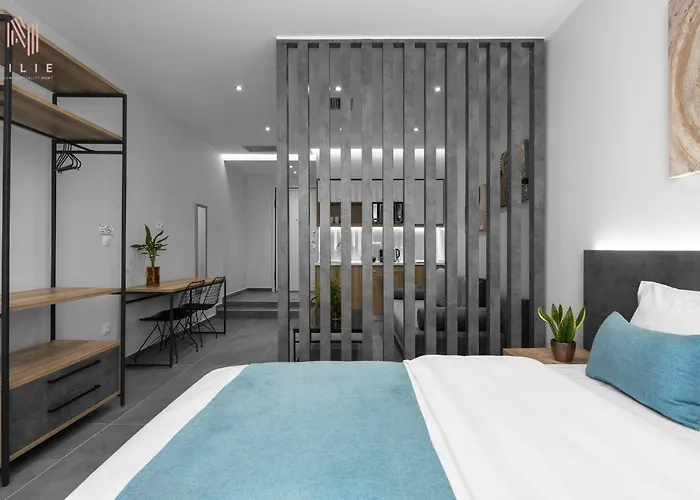 Factory Inn, Nilie Hospitality Mgmt Apartment *
